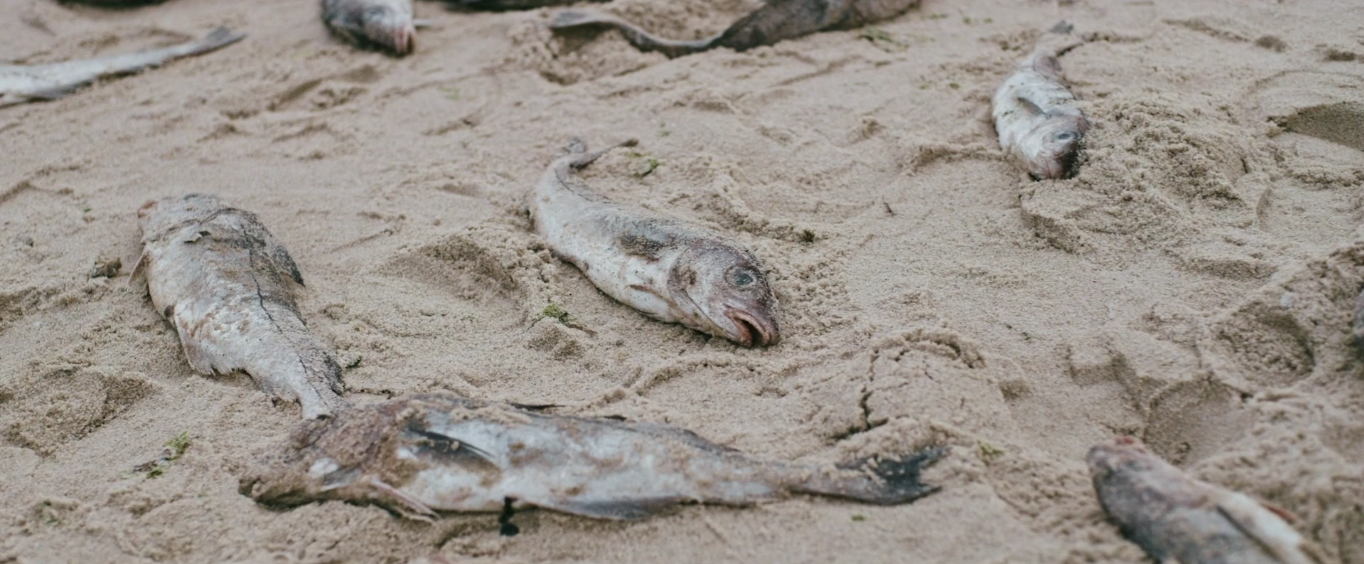 101: Haunted Palace 3