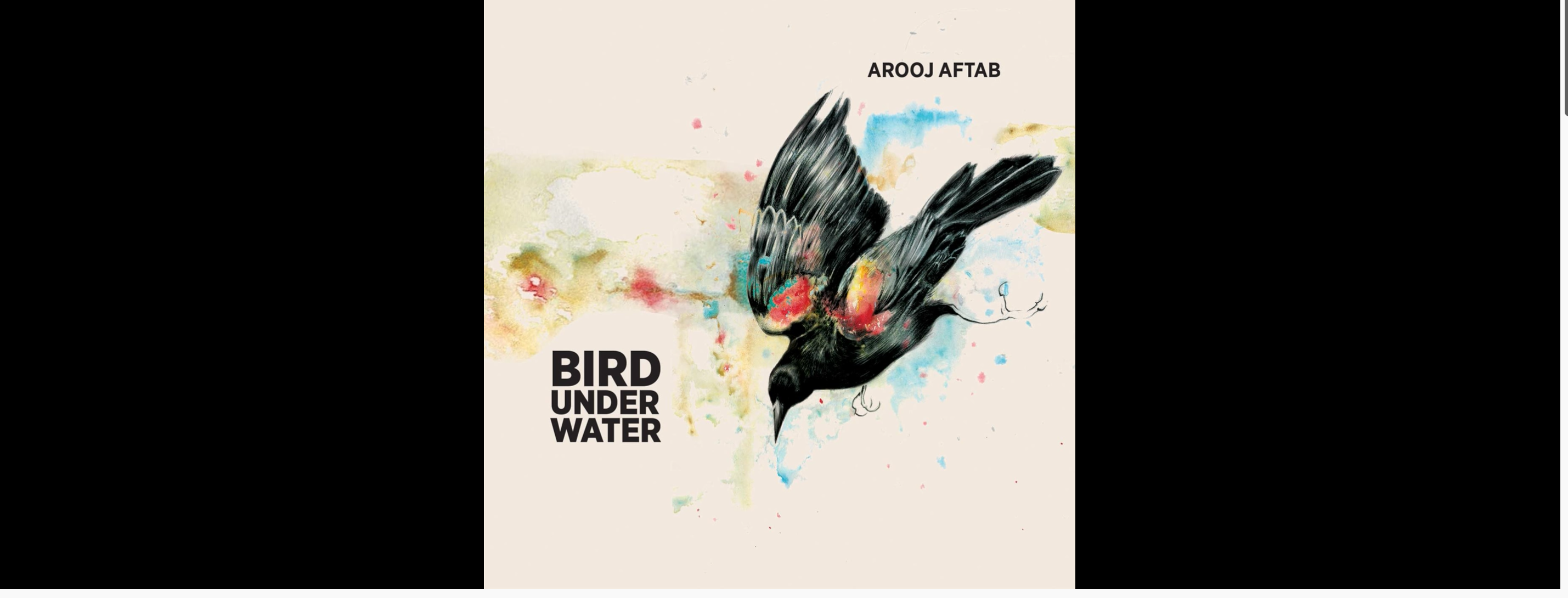 109: Climate change in solid form