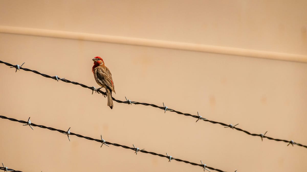 The moment we need to meet