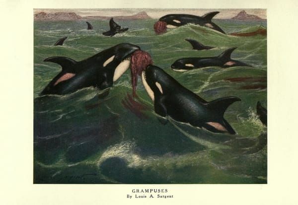 99: 'Every city is a war'