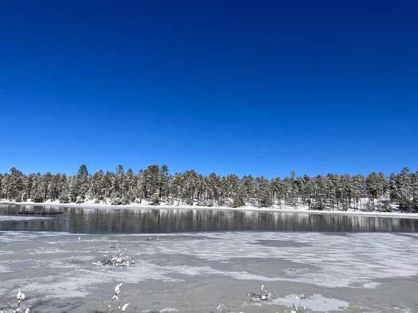 107: Is there no alternative?