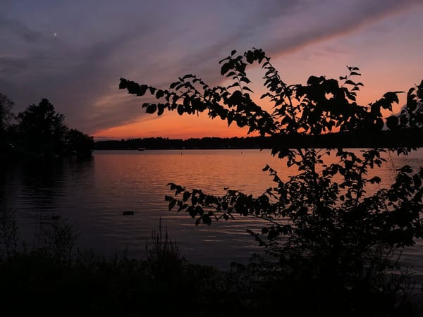 3: In every dream home a heartache